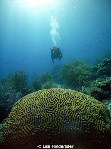 "Going Home"
Heading back after an excellent day of diving! by Lisa Hinderlider 